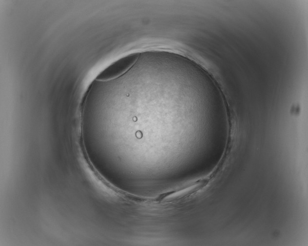 X0000112021520200908031345