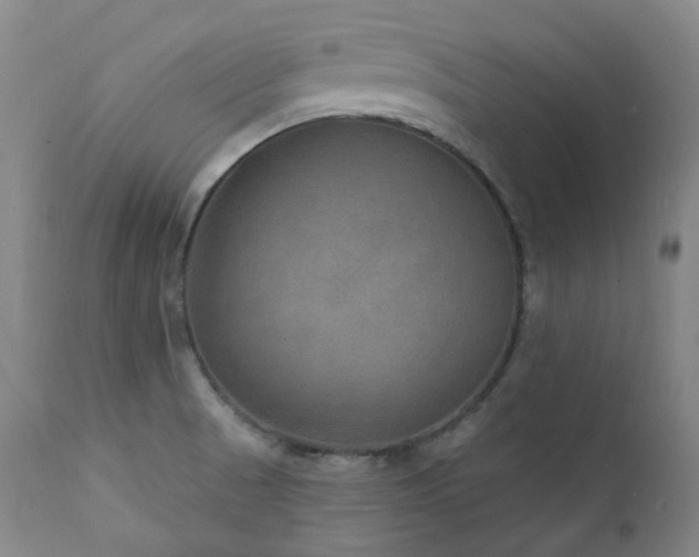 X0000112021521200908031345