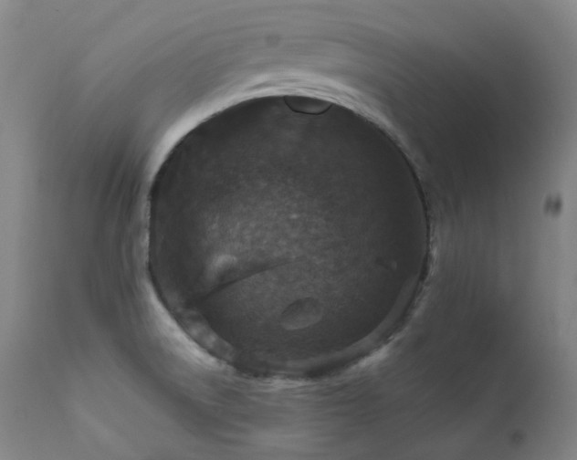 X0000112021522200908031345