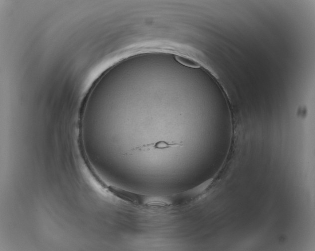 X0000112021523200908031345