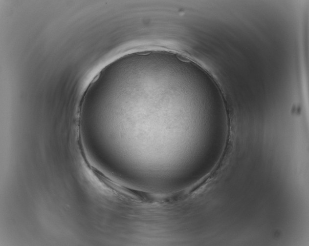 X0000112021524200908031345