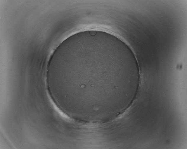 X0000112021525200908031345