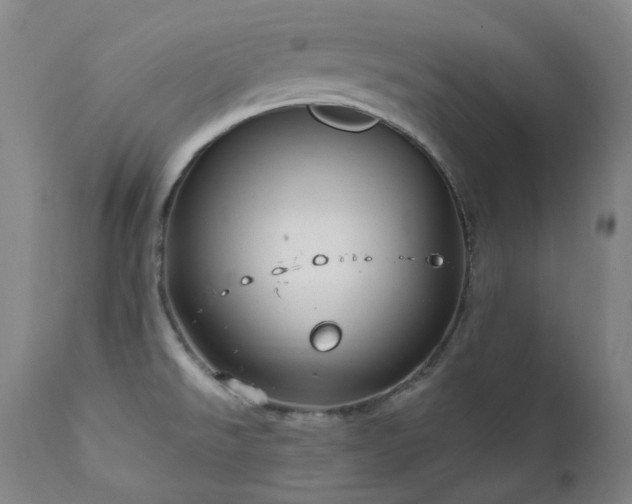 X0000112021526200908031345