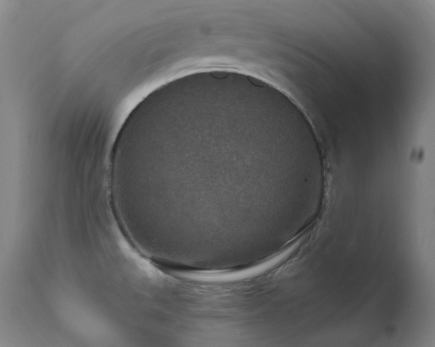 X0000112021527200908031345