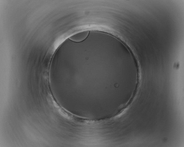 X0000112021529200908031345