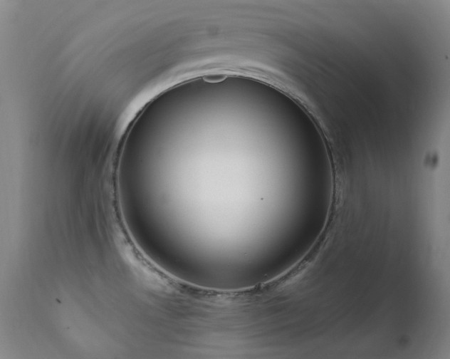 X0000112021530200908031345