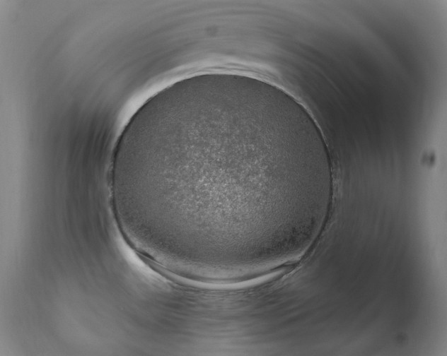 X0000112021531200908031345