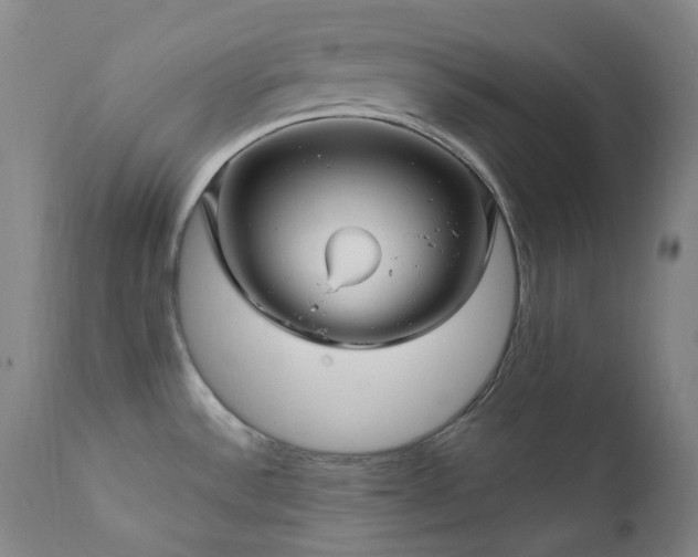 X0000112021532200908031345