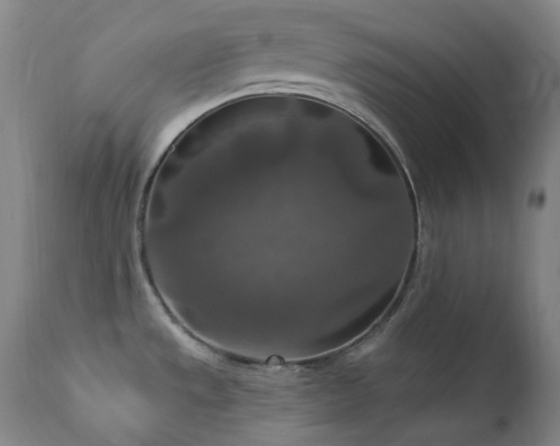 X0000112021533200908031345