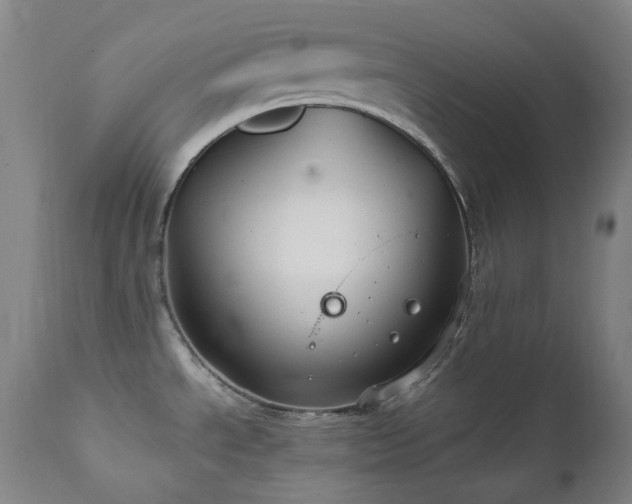 X0000112021534200908031345