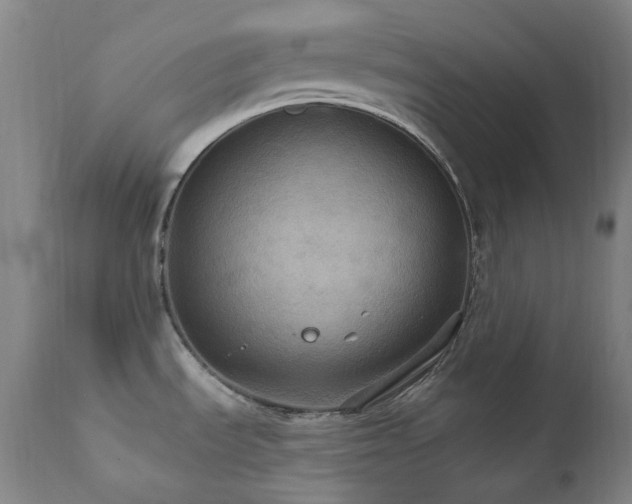 X0000112021535200908031345