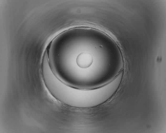 X0000112021536200908031345