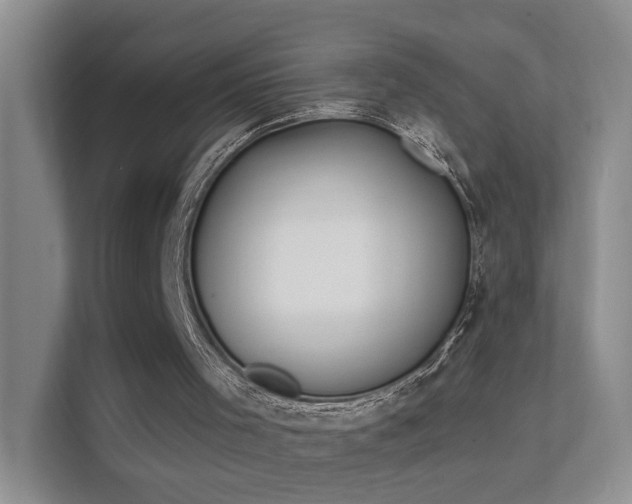 X0000112020001200908101412