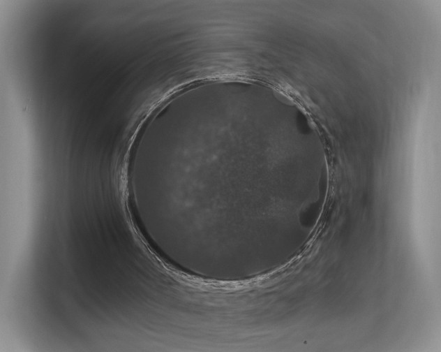 X0000112020002200908101412