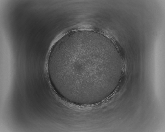 X0000112020004200908101412