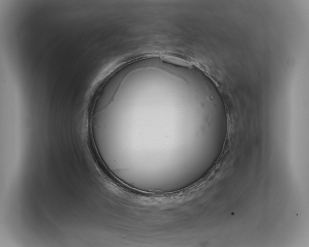 X0000112020005200908101412