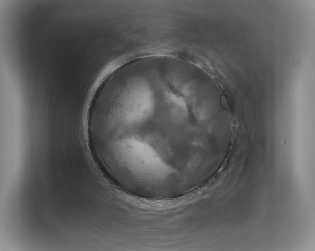 X0000112020006200908101412