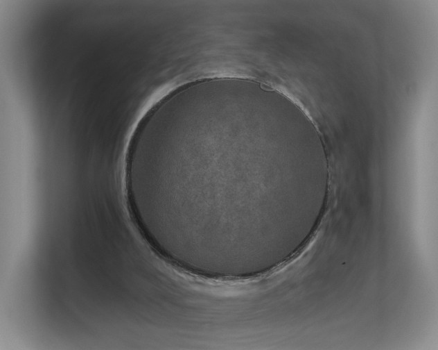 X0000112020008200908101412