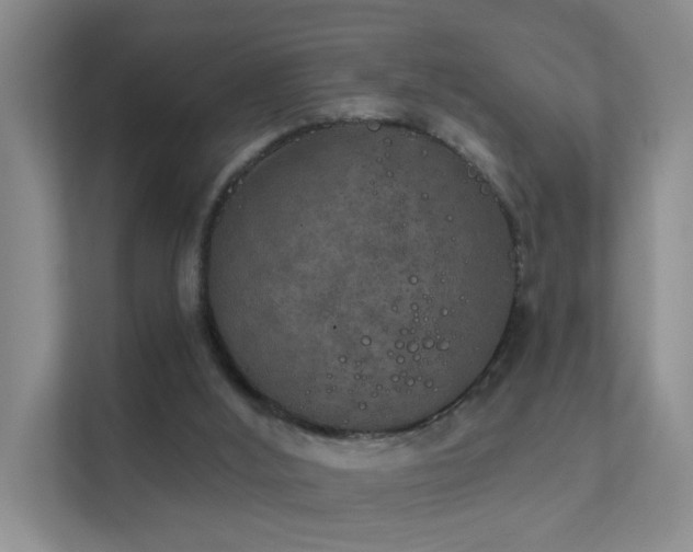 X0000112020012200908101412