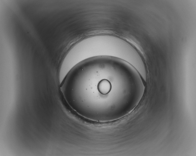 X0000112020013200908101411