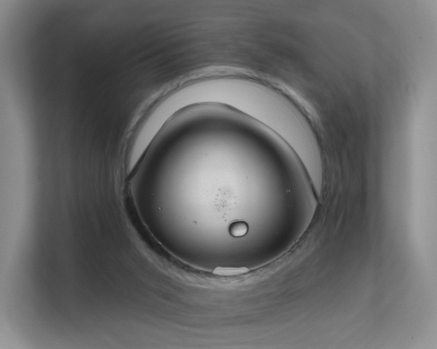 X0000112020015200908101411