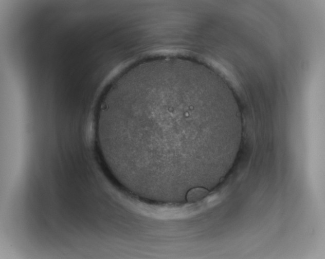 X0000112020016200908101411