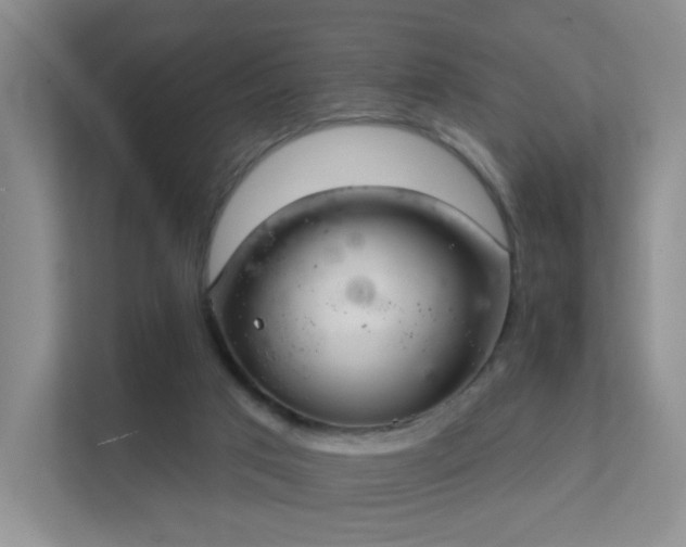 X0000112020017200908101411