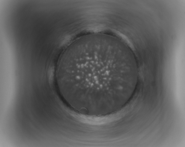 X0000112020018200908101411