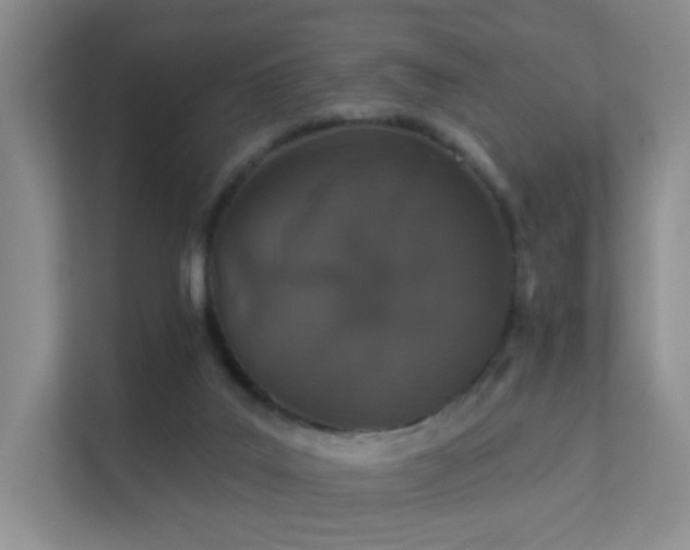 X0000112020019200908101411