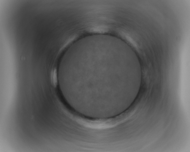 X0000112020020200908101411