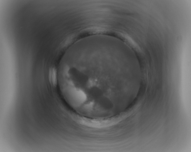 X0000112020022200908101411