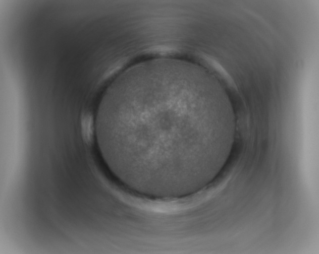 X0000112020024200908101411