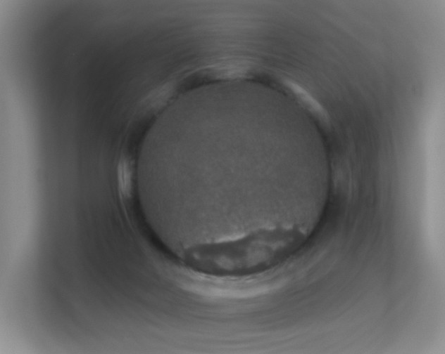 X0000112020026200908101411