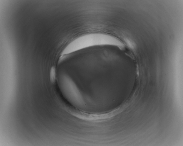 X0000112020027200908101411