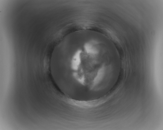 X0000112020030200908101411