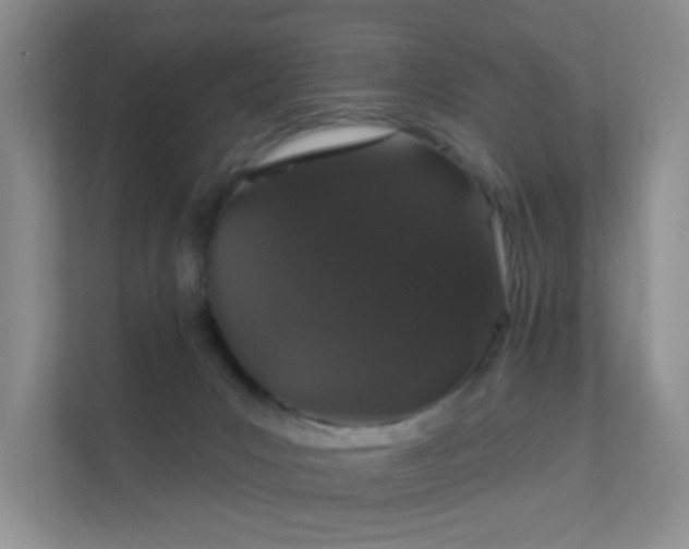 X0000112020031200908101411