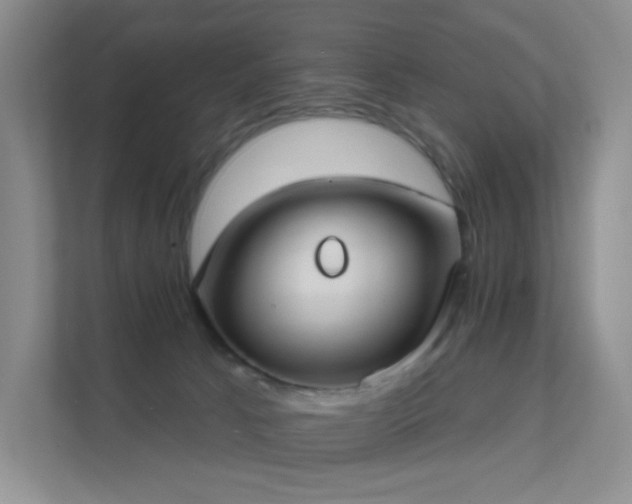 X0000112020033200908101411