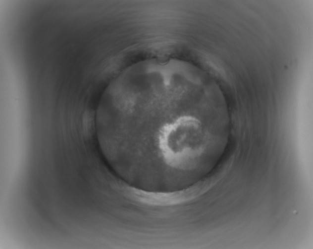 X0000112020034200908101411