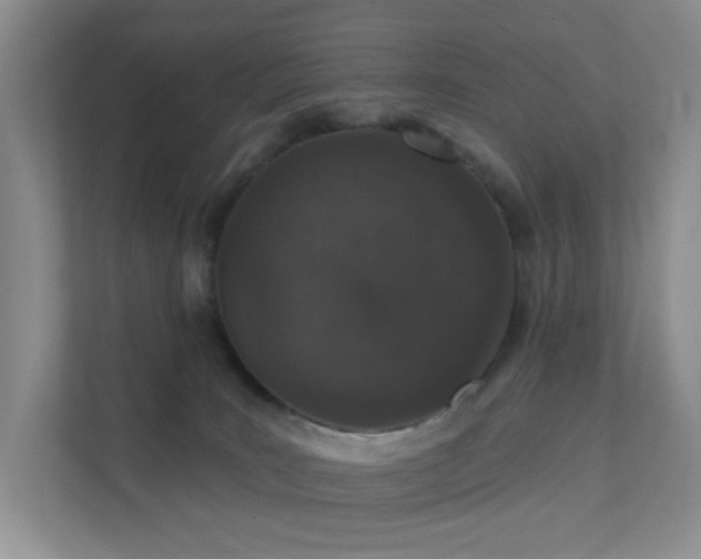 X0000112020035200908101411