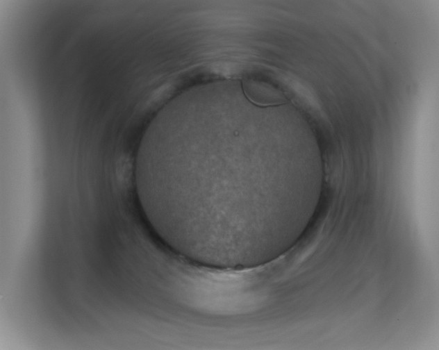 X0000112020036200908101411