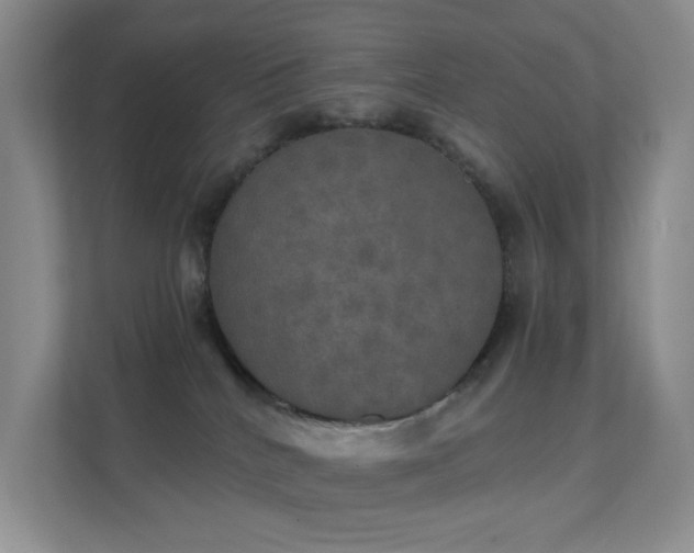 X0000112020040200908101411