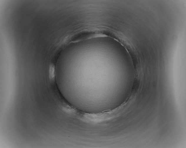 X0000112020041200908101411