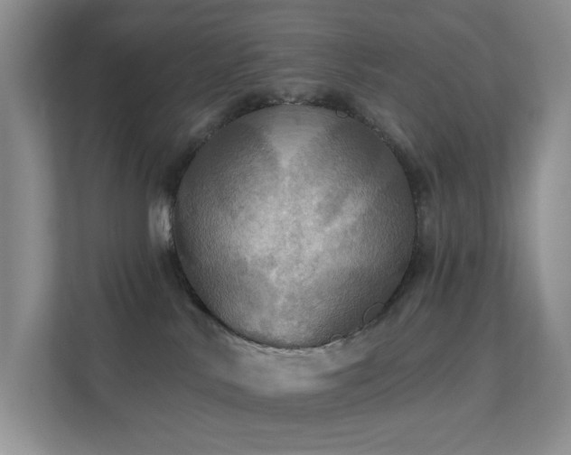 X0000112020042200908101411