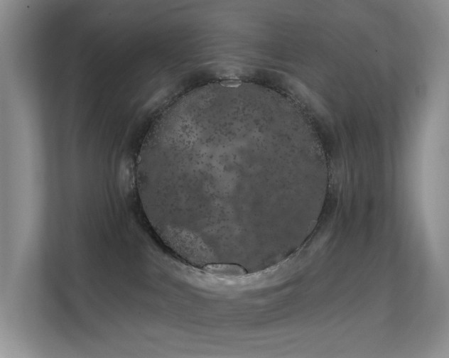 X0000112020043200908101411