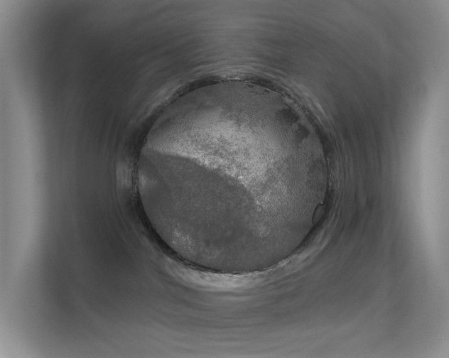 X0000112020044200908101411