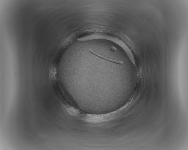 X0000112020045200908101411