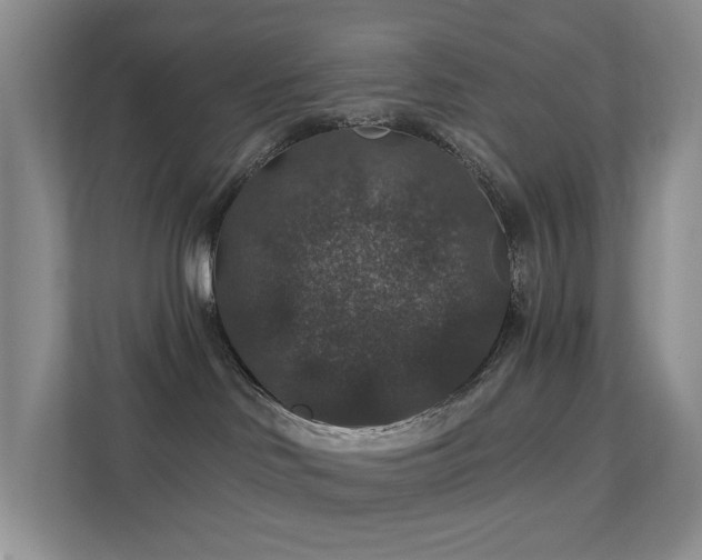 X0000112020046200908101411