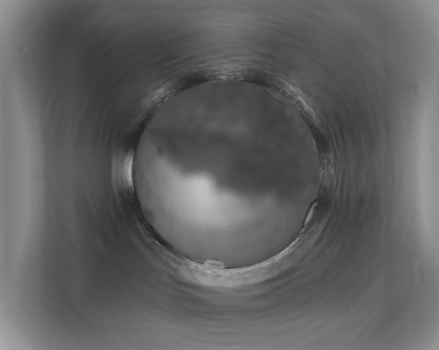 X0000112020047200908101411