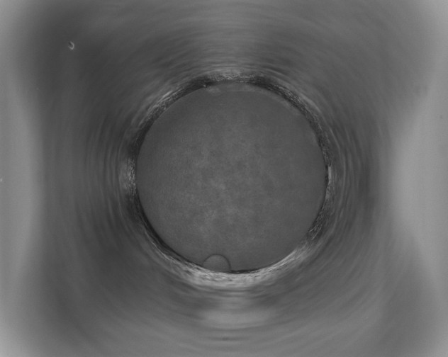 X0000112020048200908101411