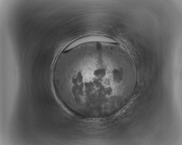 X0000112020049200908101410